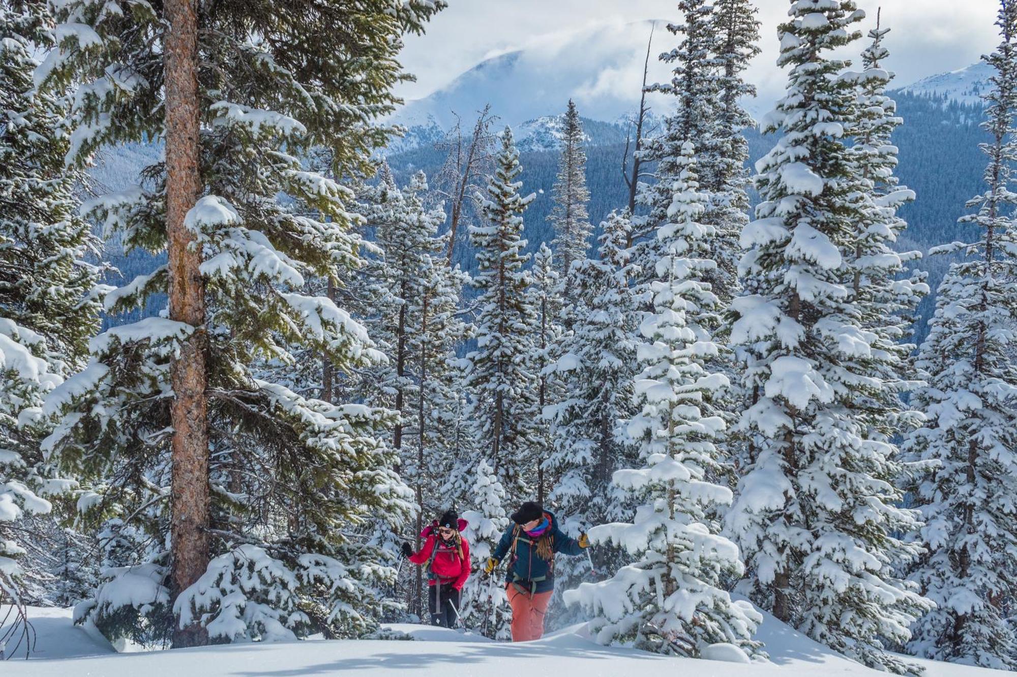 Moose Drool Lodge Winter Park Dış mekan fotoğraf