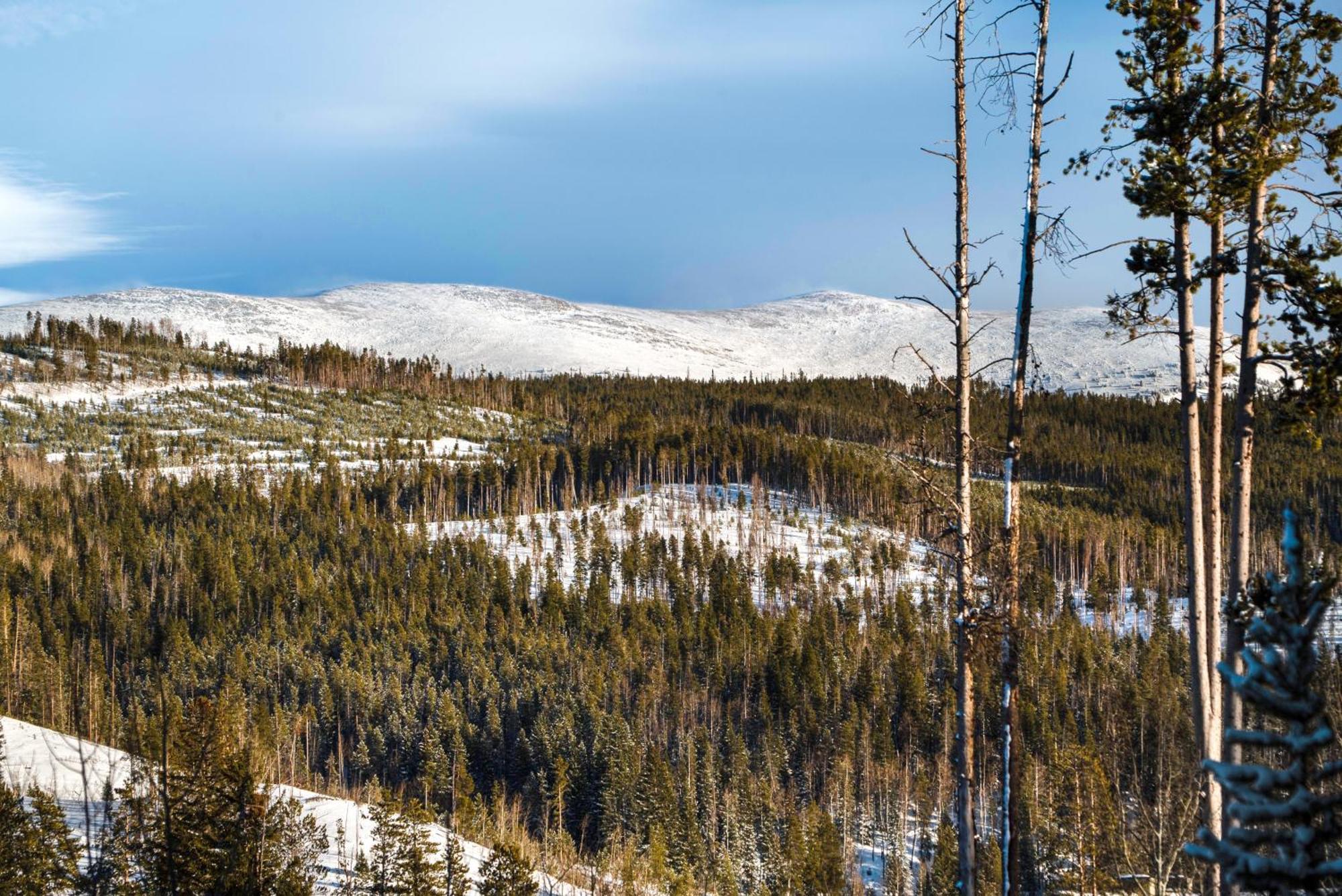 Moose Drool Lodge Winter Park Dış mekan fotoğraf