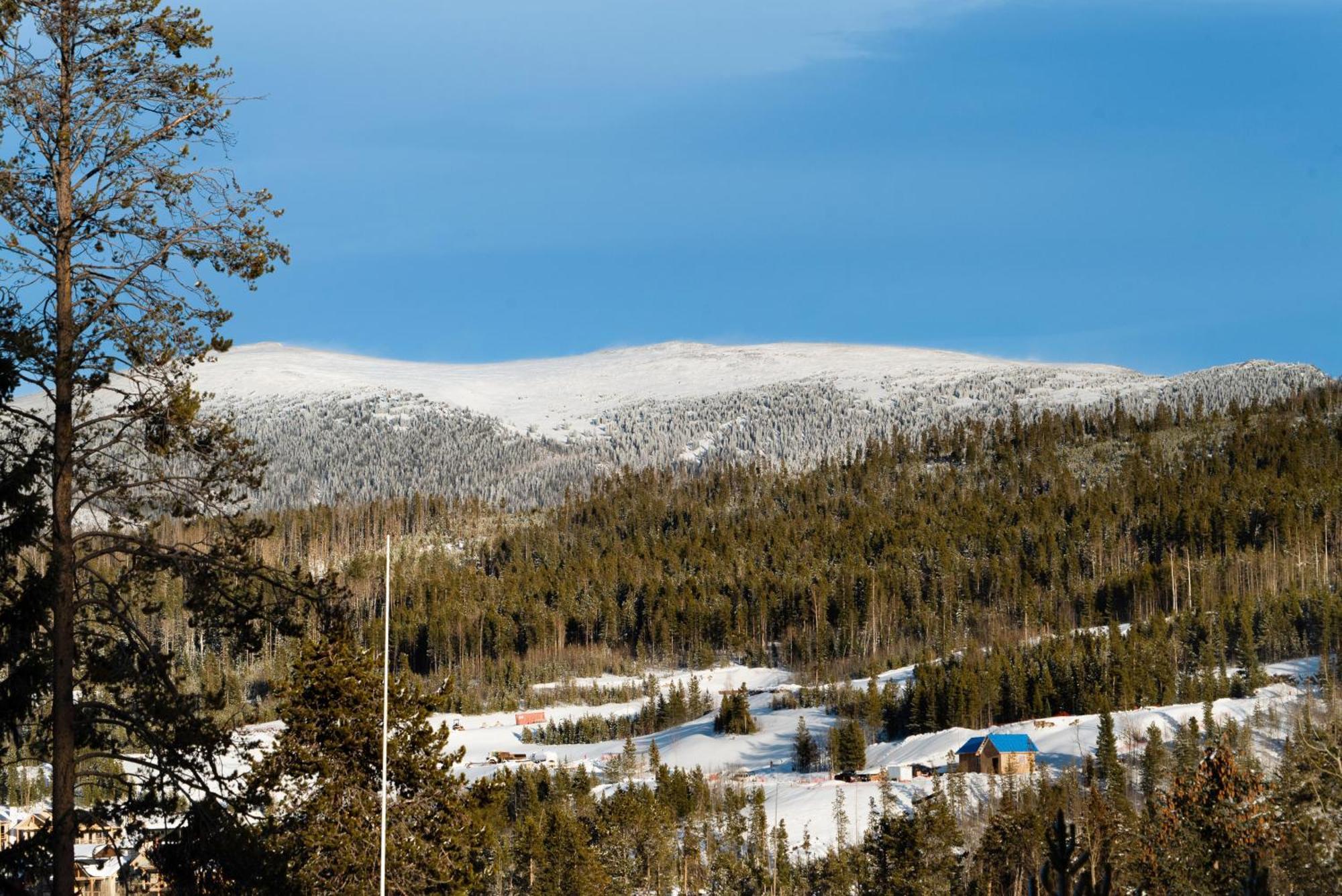 Moose Drool Lodge Winter Park Dış mekan fotoğraf