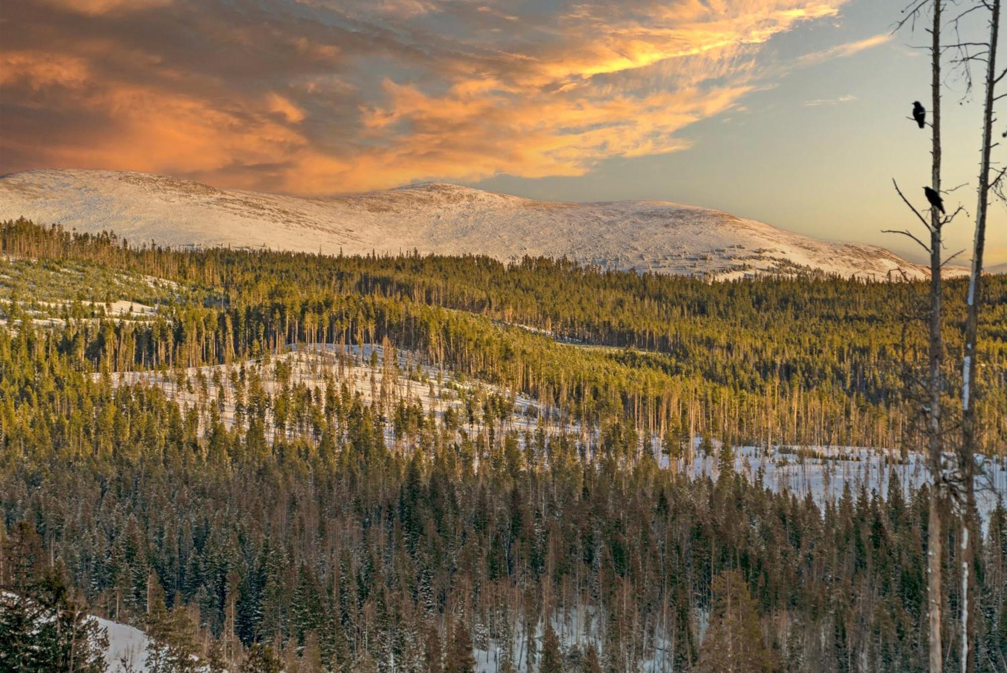 Moose Drool Lodge Winter Park Dış mekan fotoğraf